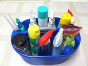 Cleaning Caddy