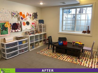 Professional Organizer Restores Order 