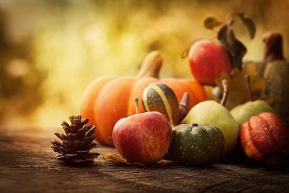 Fall decorations of apples, pumpkins and gourds.